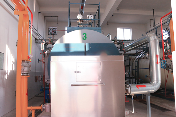 Steam Boiler for Food Industry in India