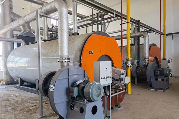 Steam Boiler for Bitumen Heat in Mongolia
