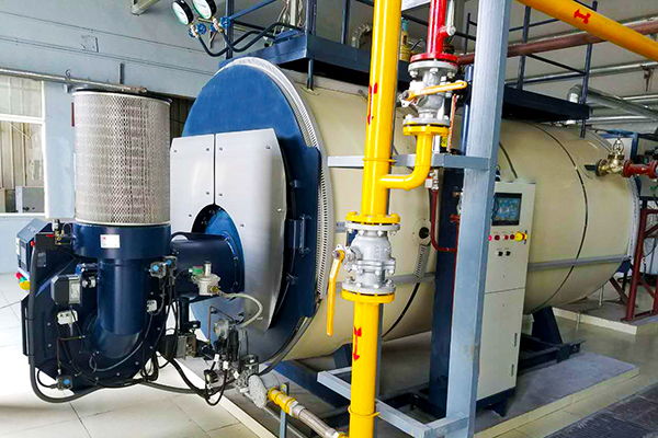 Steam Boiler for Petrochemical Industry in Alabama, USA