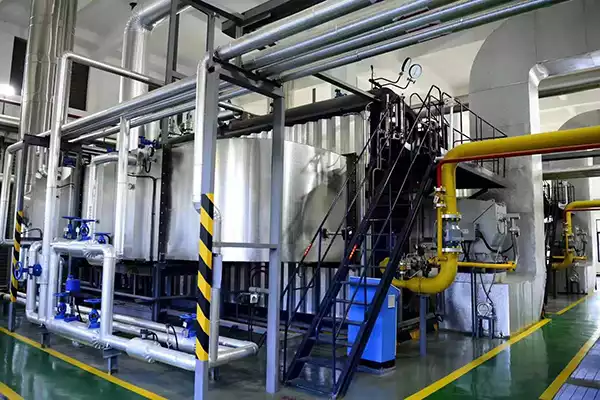 25-Ton Gas-Fired Fire Tube Steam Boiler for Wine Industry